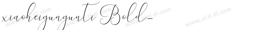 xiaoheigungunti Bold字体转换